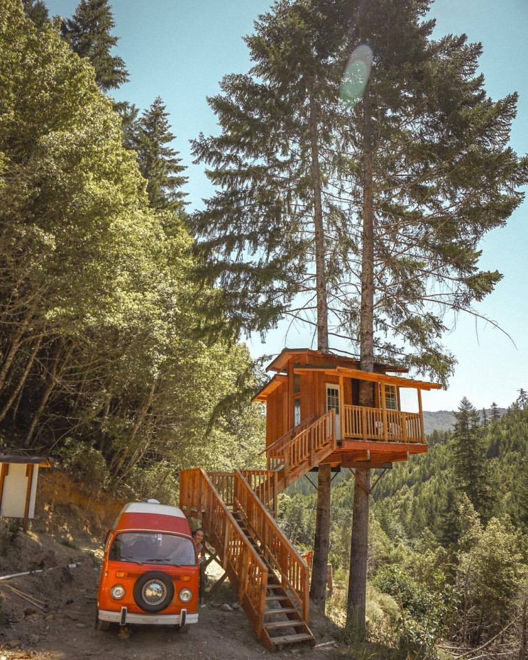 Treehouse In California A Traveler And Adventurer   Treehouselove