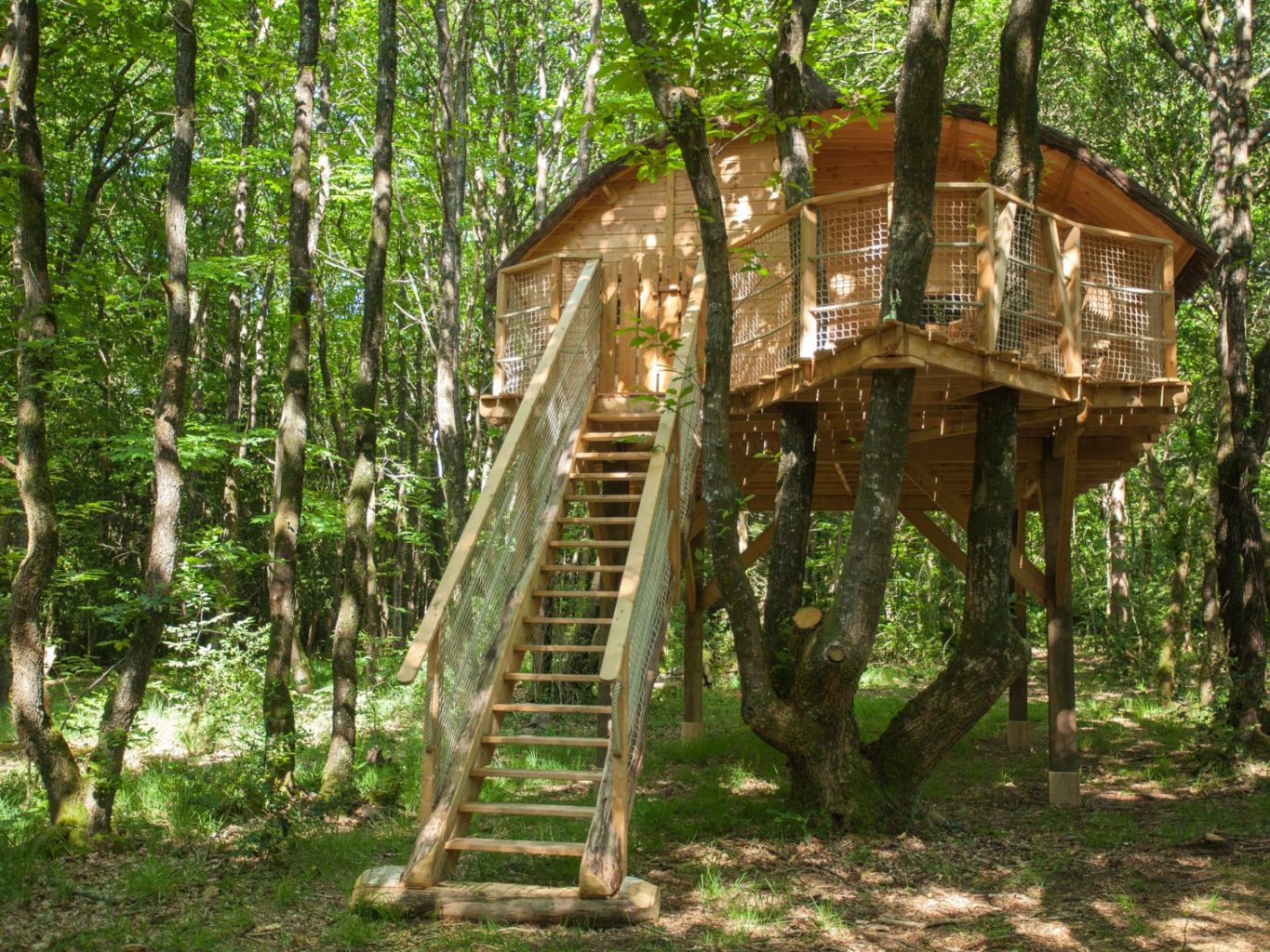 The most amazing Treehouses in the World - Treehouselove