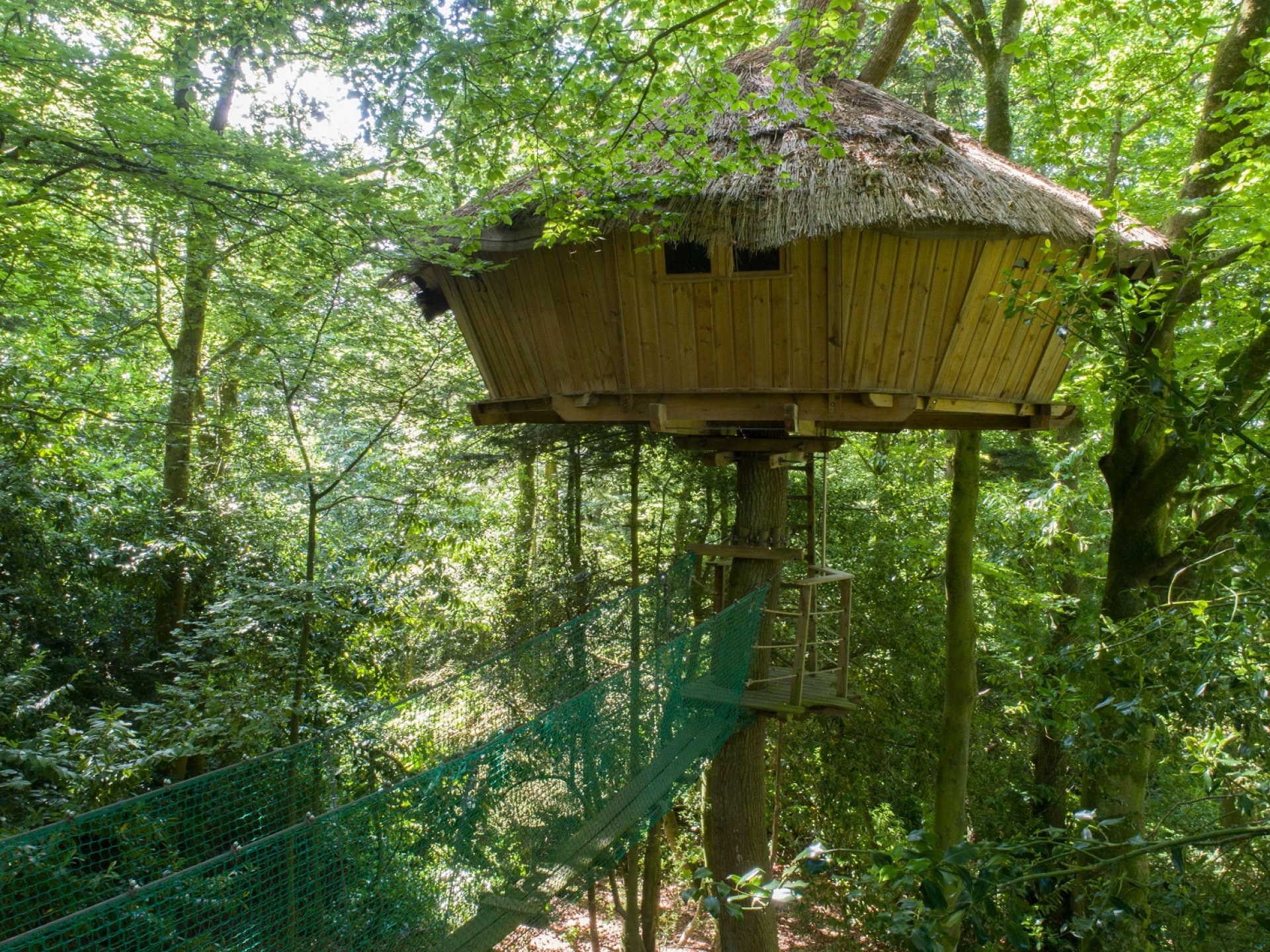 Cabane-perchee-dans-les-arbres-sejour-insolite-a-deux-bretagne ...