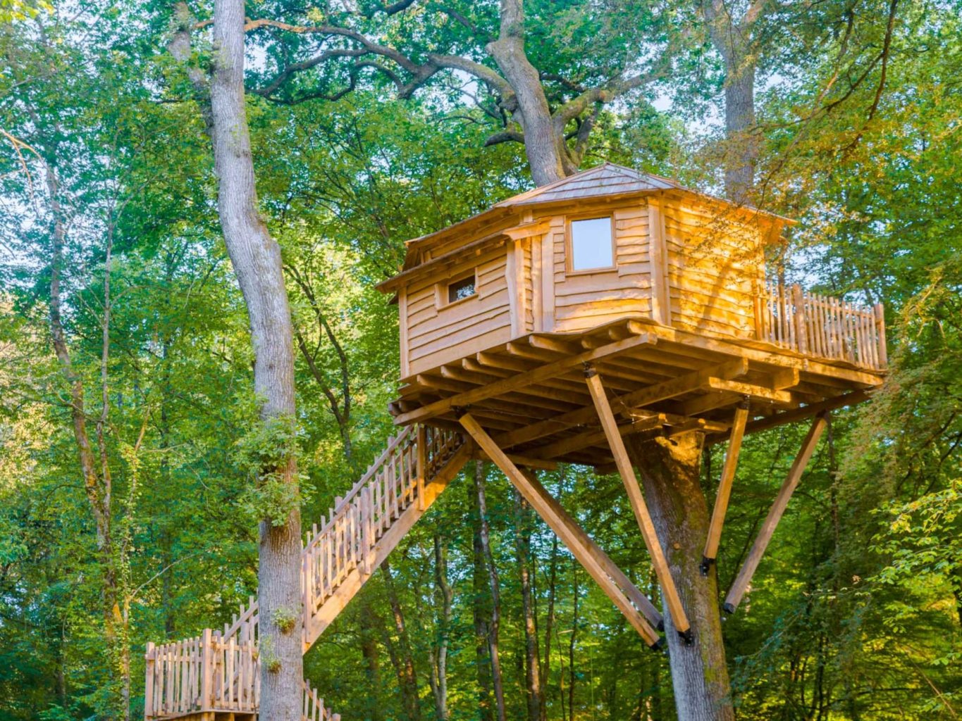 Treehouse Vacation Idea Cabane Amazonie Treehouselove